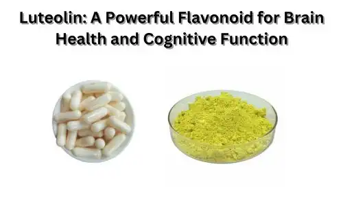 Luteolin: A Powerful Flavonoid for Brain Health and Cognitive Function